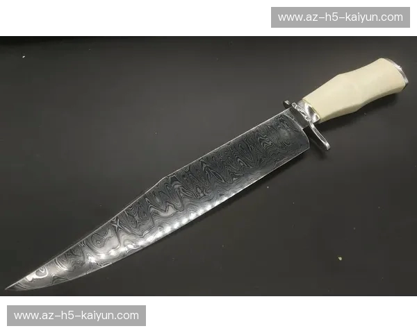 铁血与荣耀的重叠：当猛龙遇上公牛，这是一场关于重生的终极博弈