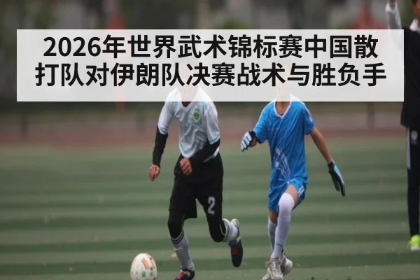 2026年世界武术锦标赛中国散打队对伊朗队决赛战术与胜负手